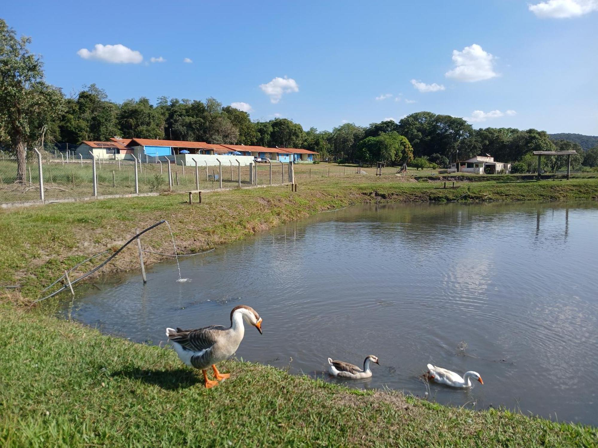 Hotel Fazenda Recanto Do Monte Alegre Piraju Buitenkant foto