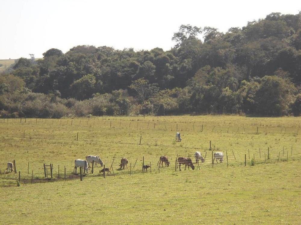 Hotel Fazenda Recanto Do Monte Alegre Piraju Buitenkant foto